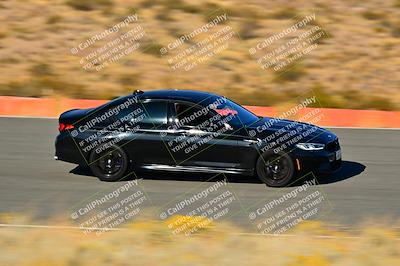 media/Nov-16-2024-Extreme Speed (Sat) [[6587d07cc4]]/Gold Group/Session 3 (The Bowl)/